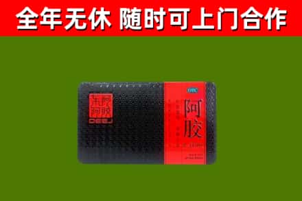沂南回收阿胶